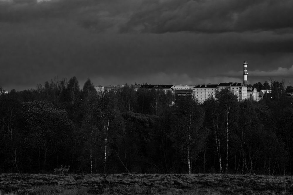 Photograph by Хабаров Сергей