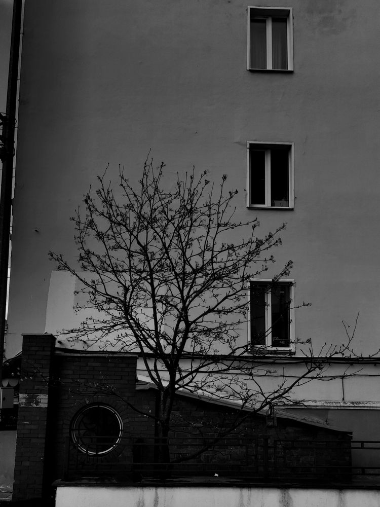 Photograph by Калюнова Наталья