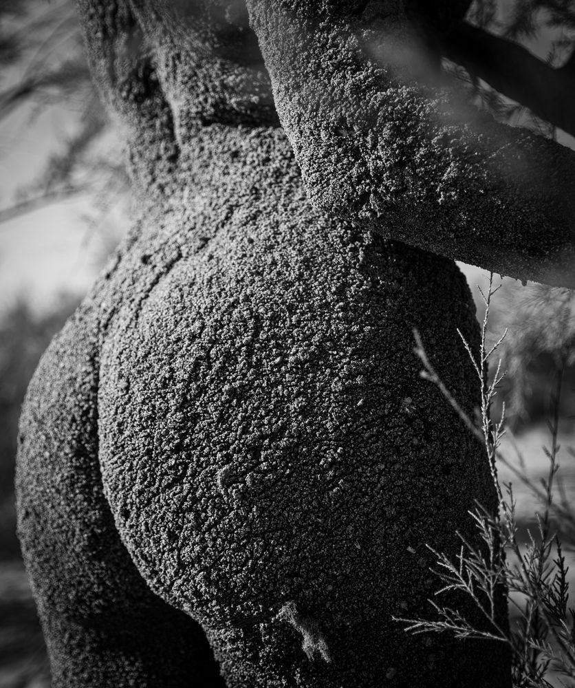 Фотография автора Roman Drahoš