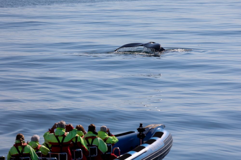 Photograph by Борис Лишневский