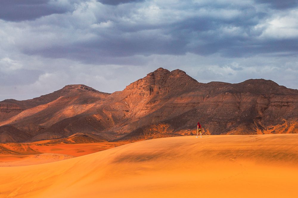 Landscapes of the Sahara