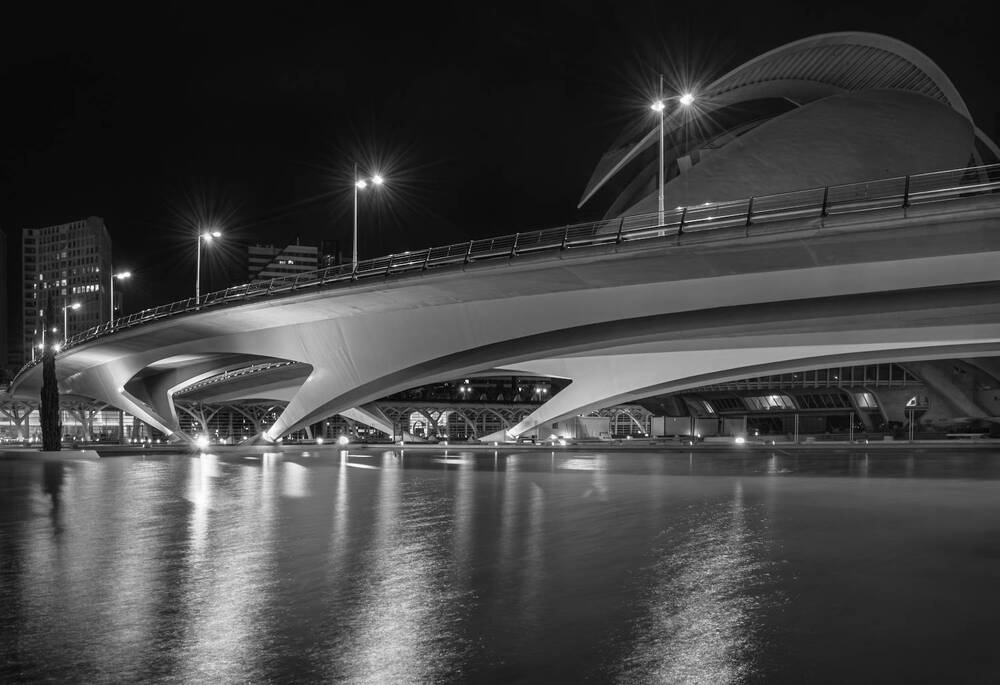 Фотография автора Марина Ческис