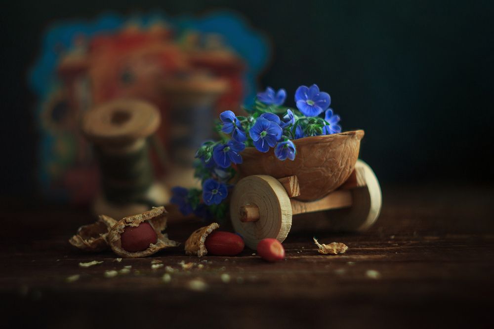 Вероника дубравная