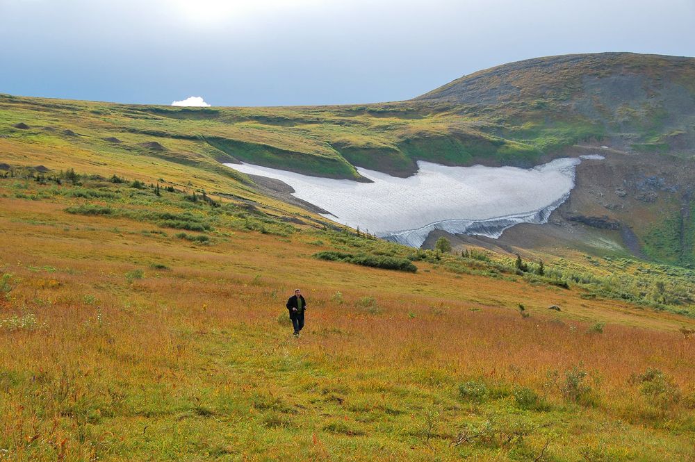 Photograph by Юрий Тимофеев