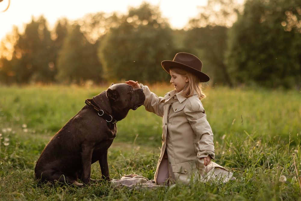 Photograph by Ипатьева Анна