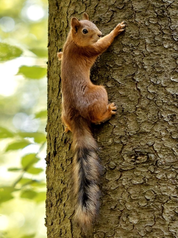 Photograph by Рина Серёгина