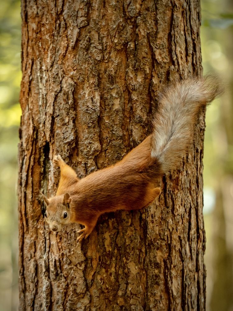 Photograph by Рина Серёгина