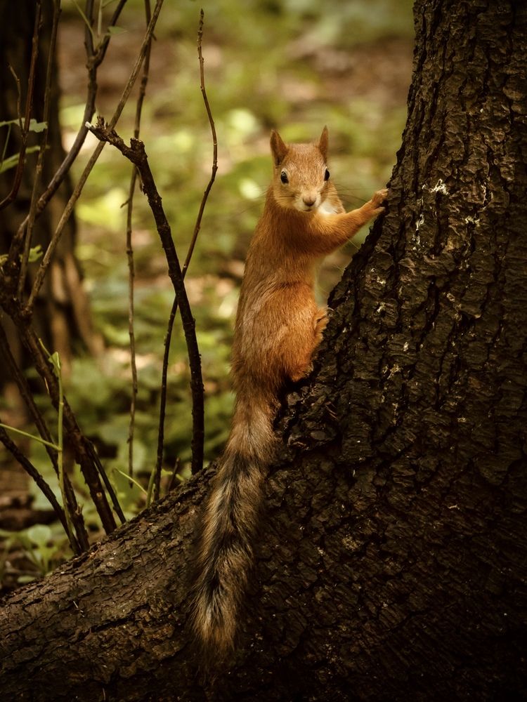 Photograph by Рина Серёгина