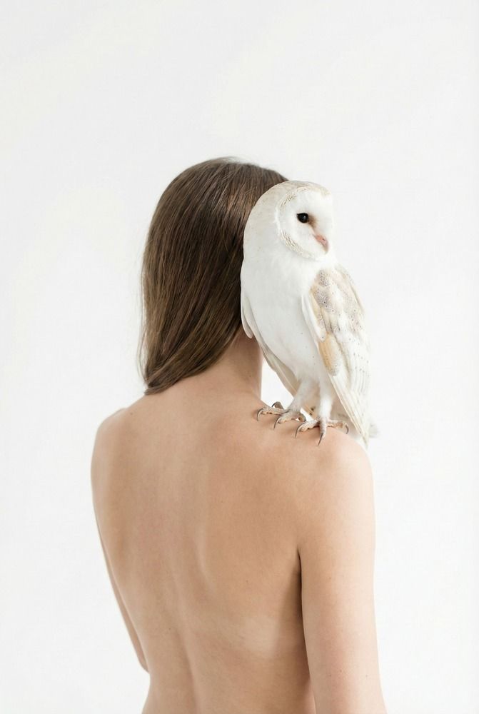 Photograph by Budyta Dariusz