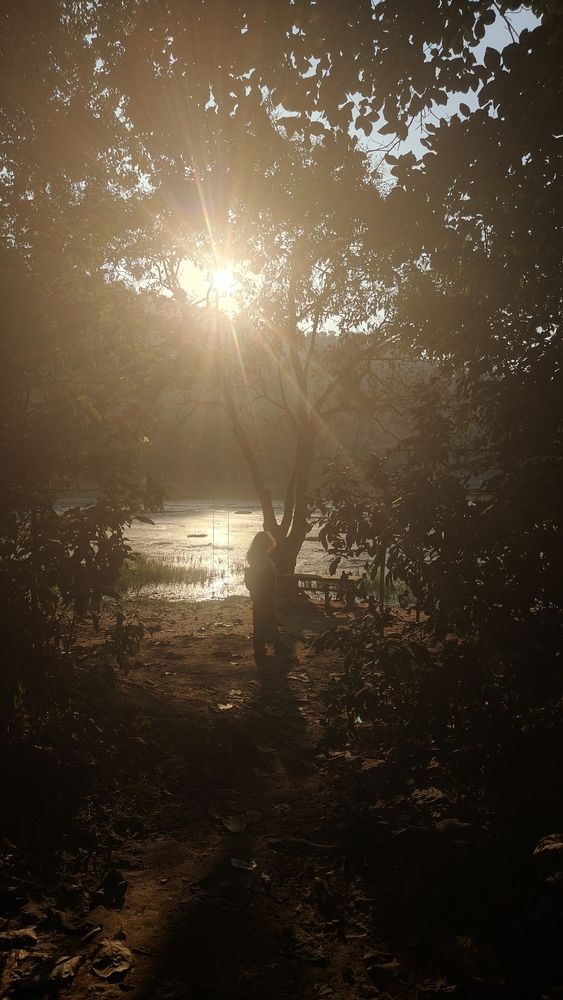 Photo #12916529