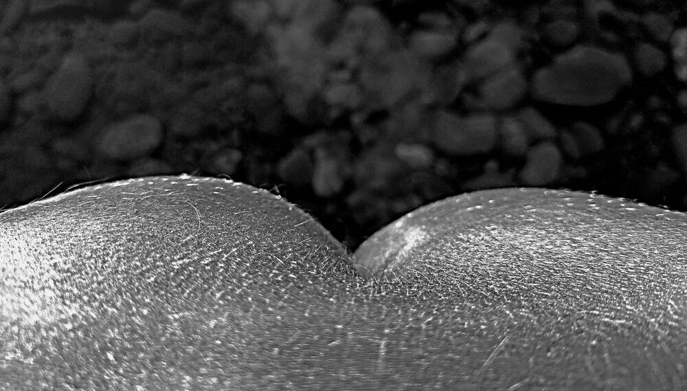 Photograph by Александр Прядко