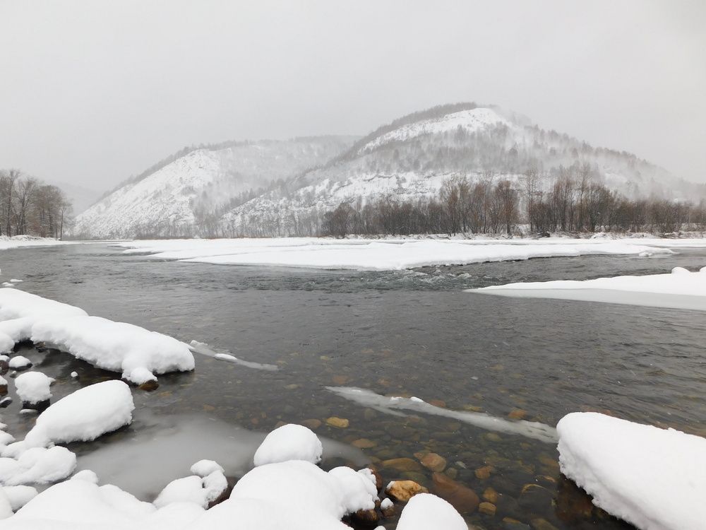 Photograph by Александр Прядко
