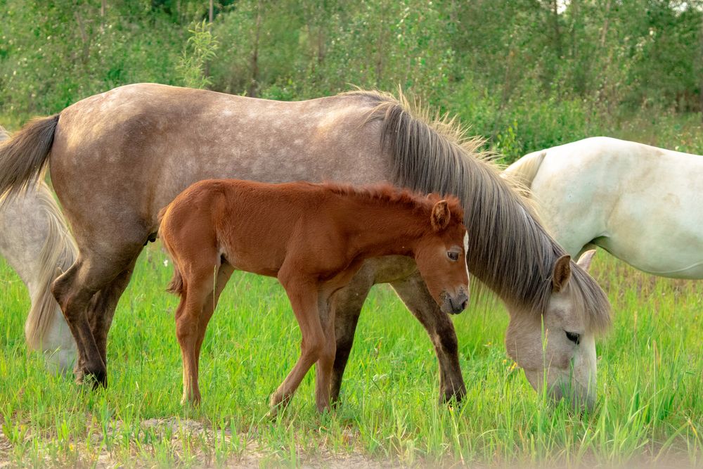 Photograph by Руслан Абдрашитов