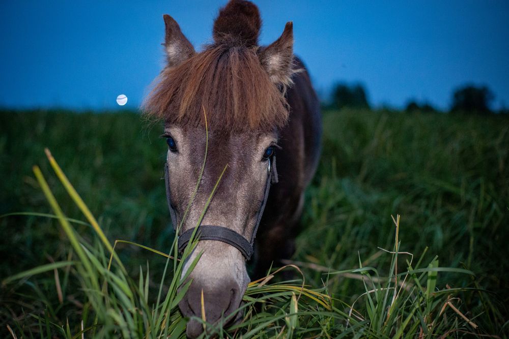 Photograph by Руслан Абдрашитов