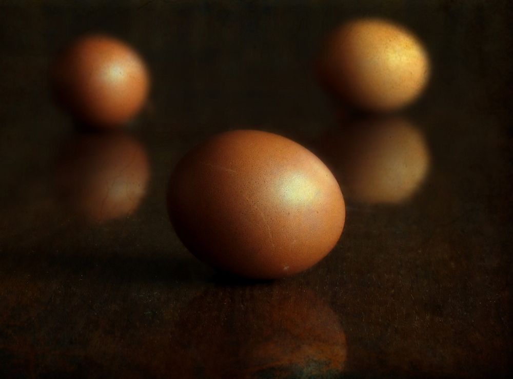 Фотография автора Роман Савоцкий