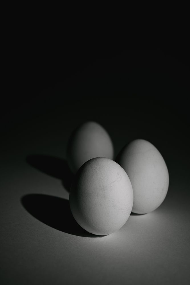 Фотография автора Алексей