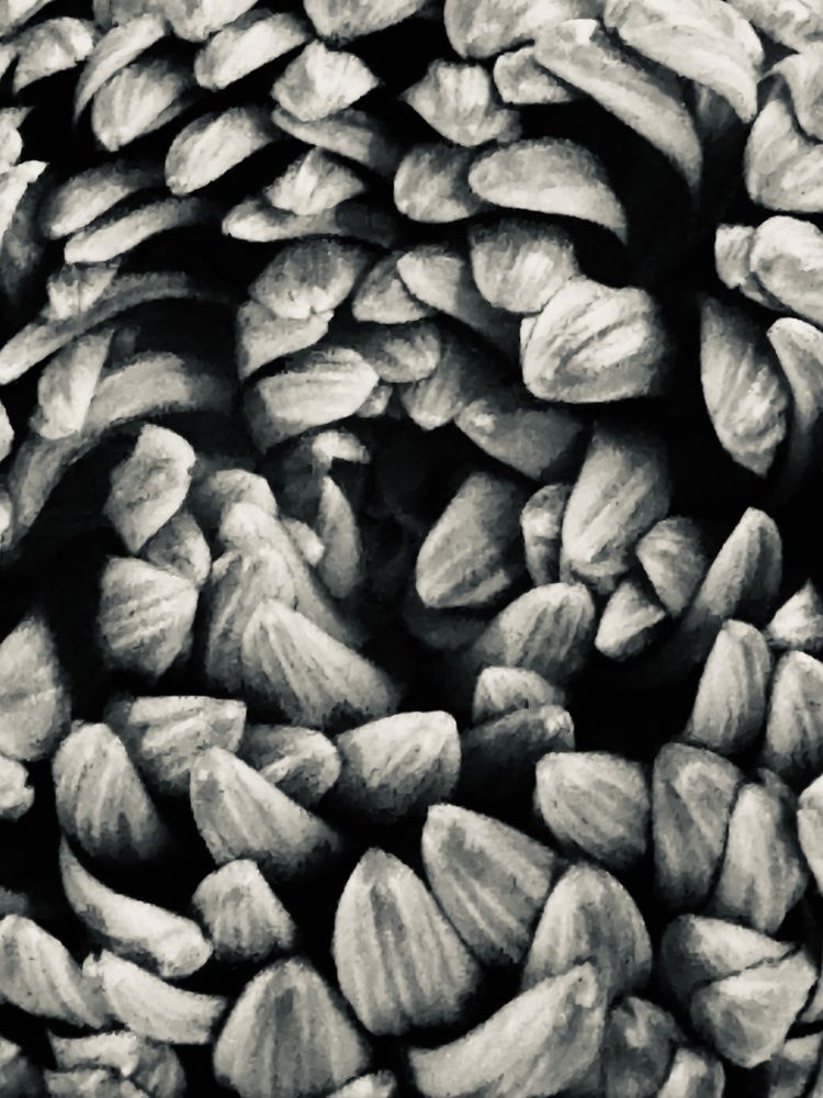 Photograph by Анна Березина