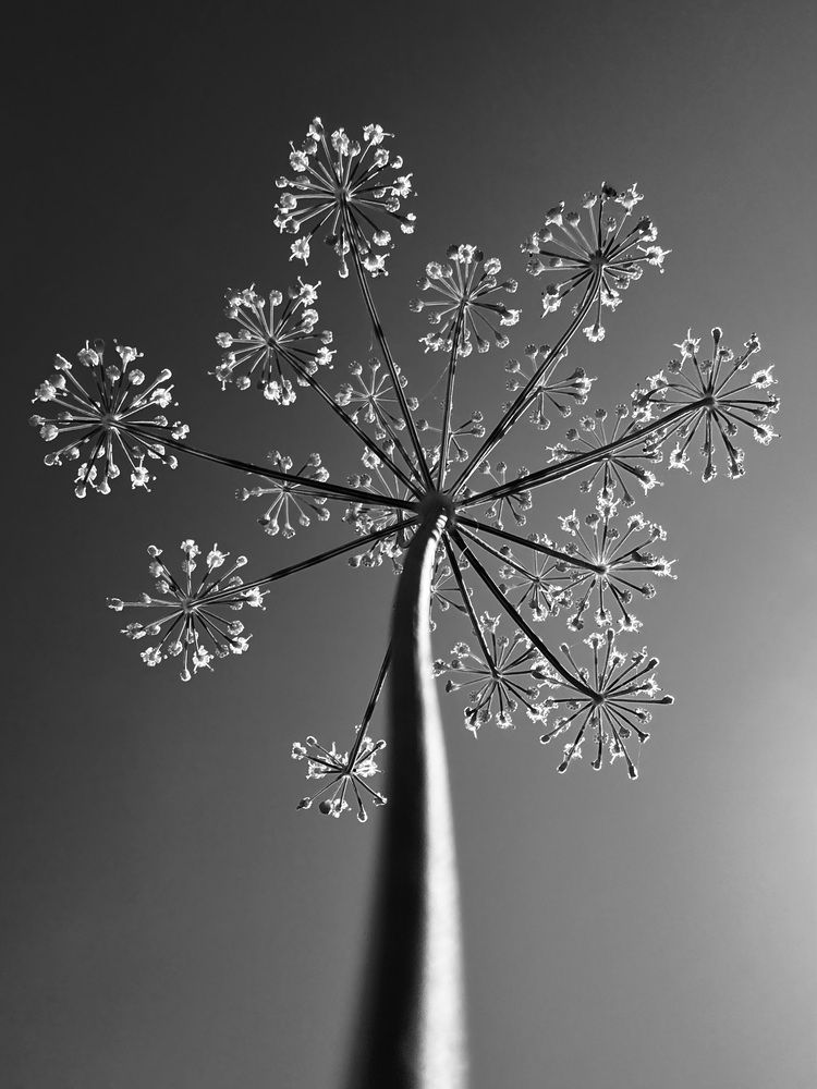 Photograph by Анна Березина