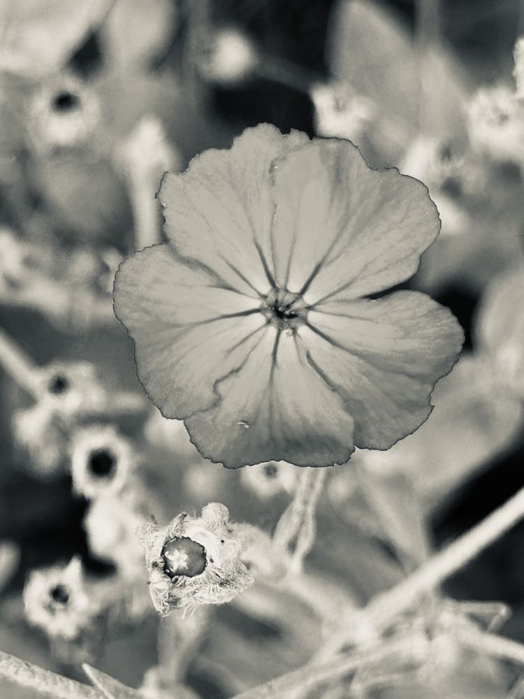 Photograph by Анна Березина