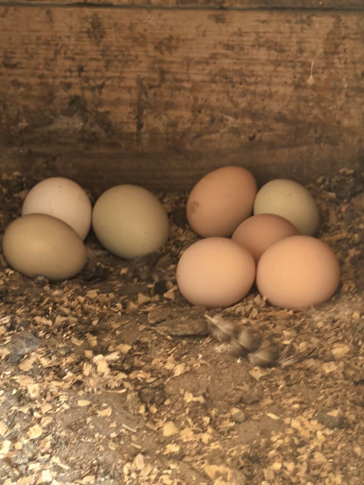 Photograph by Елена Охапкина