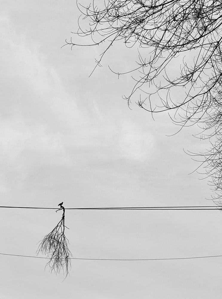 Photograph by Ignatii