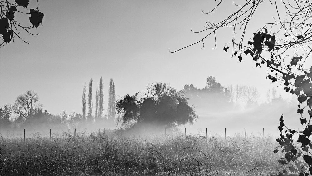 Фотография автора Andres Gonzalez