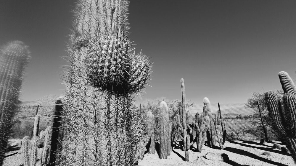 Фотография автора Andres Gonzalez
