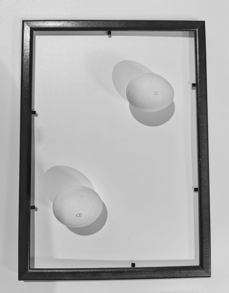 Photograph by Анастасия Кременчугская