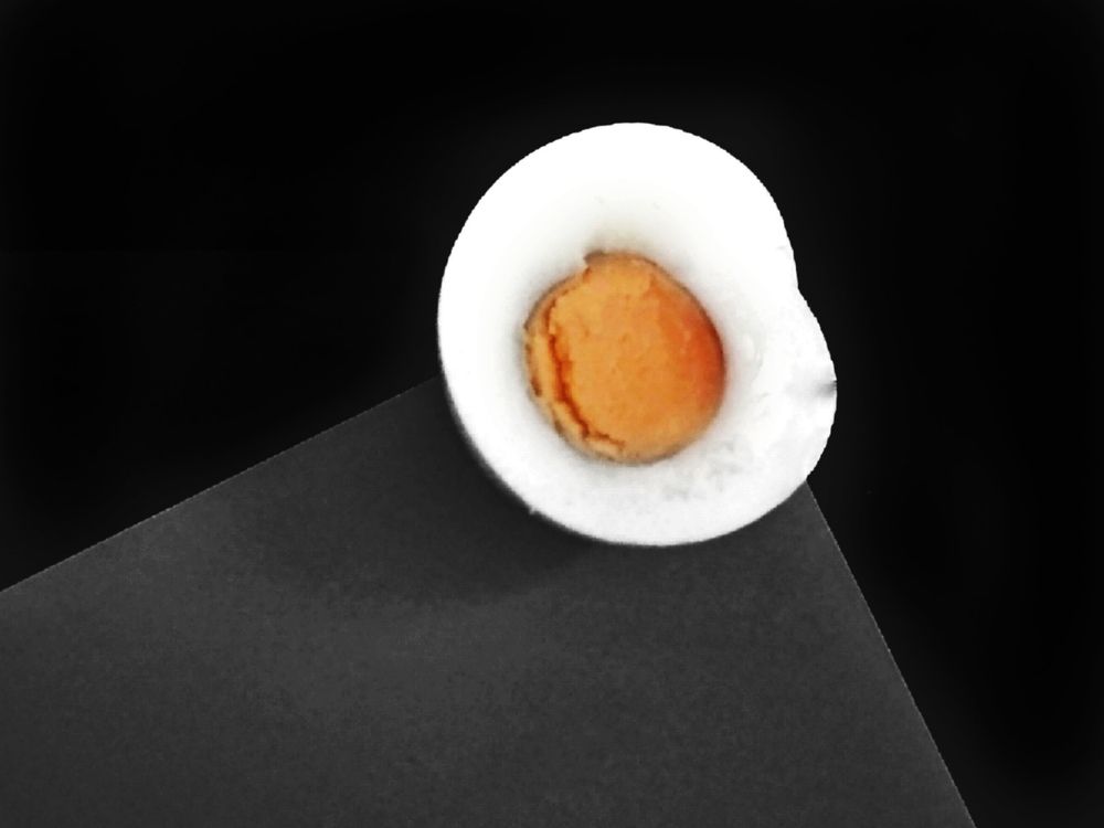 Фотография автора Tatiana Shirenko