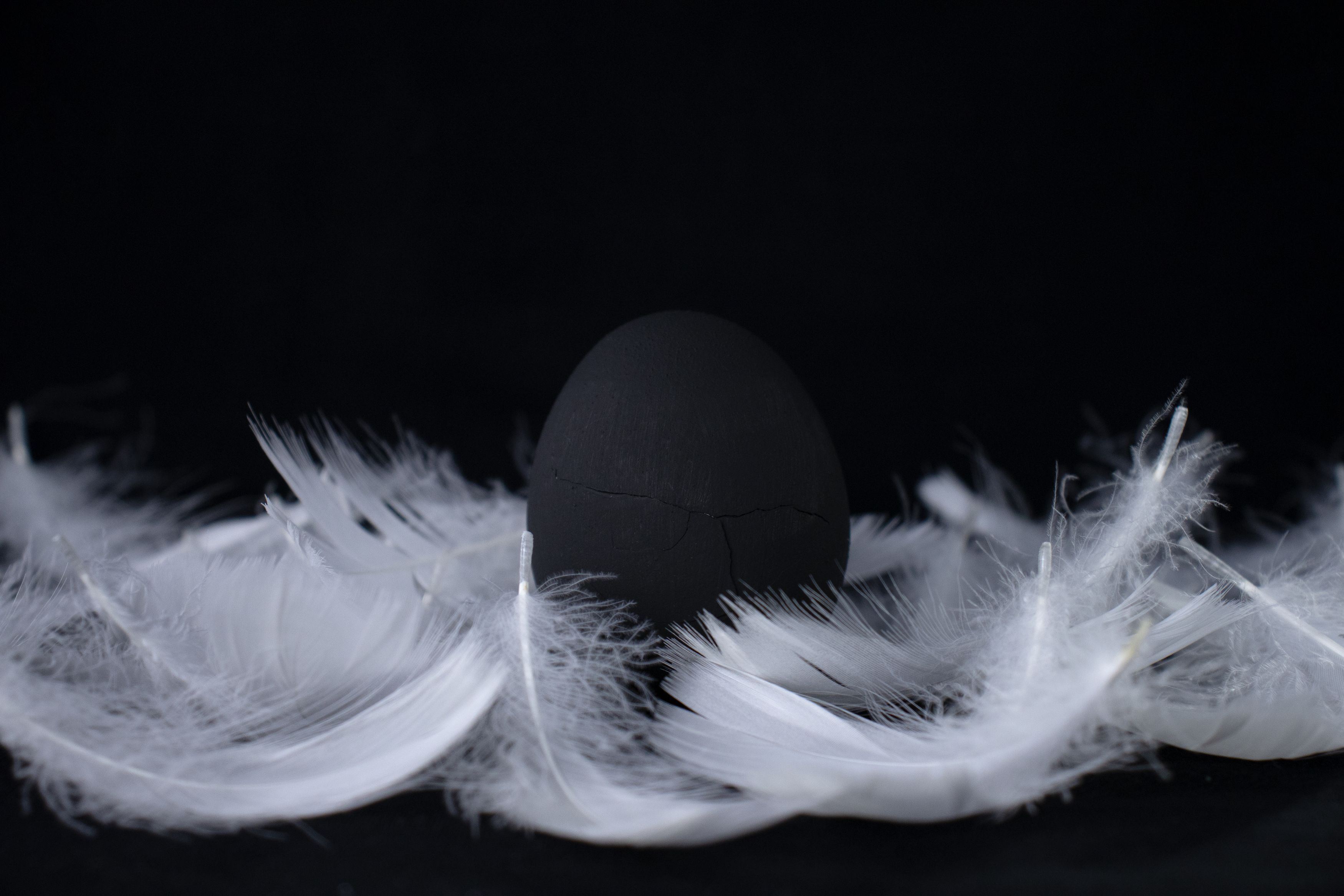 Фотография автора Дарья Обидина