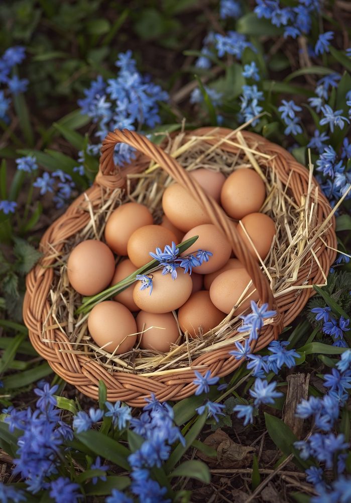 Photograph by Елена Косинова