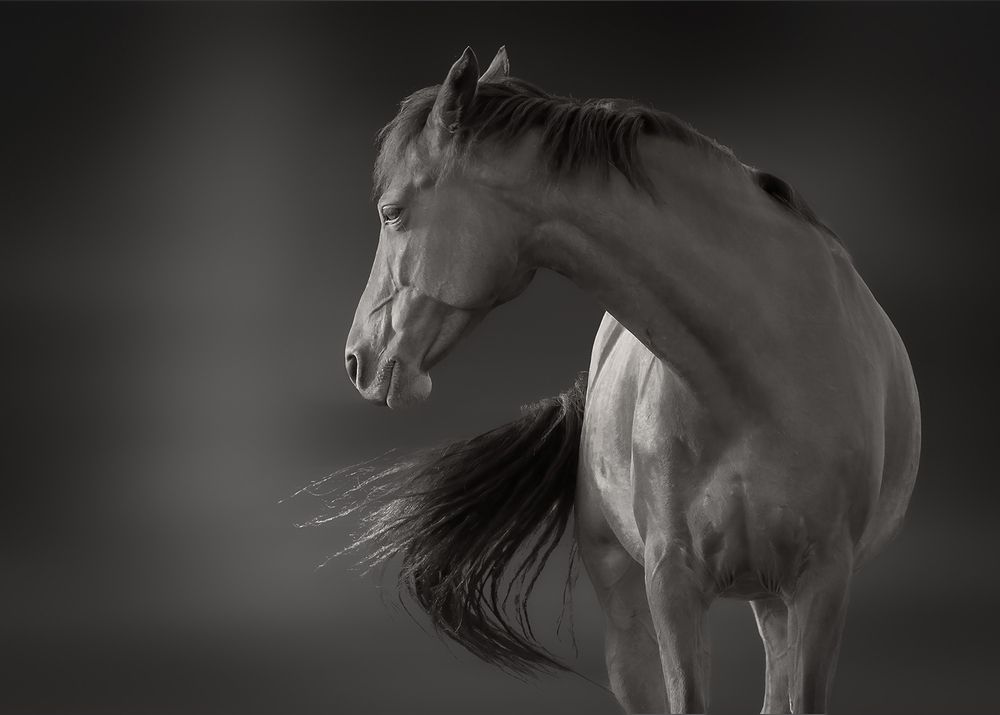 Photograph by Allan Wallberg