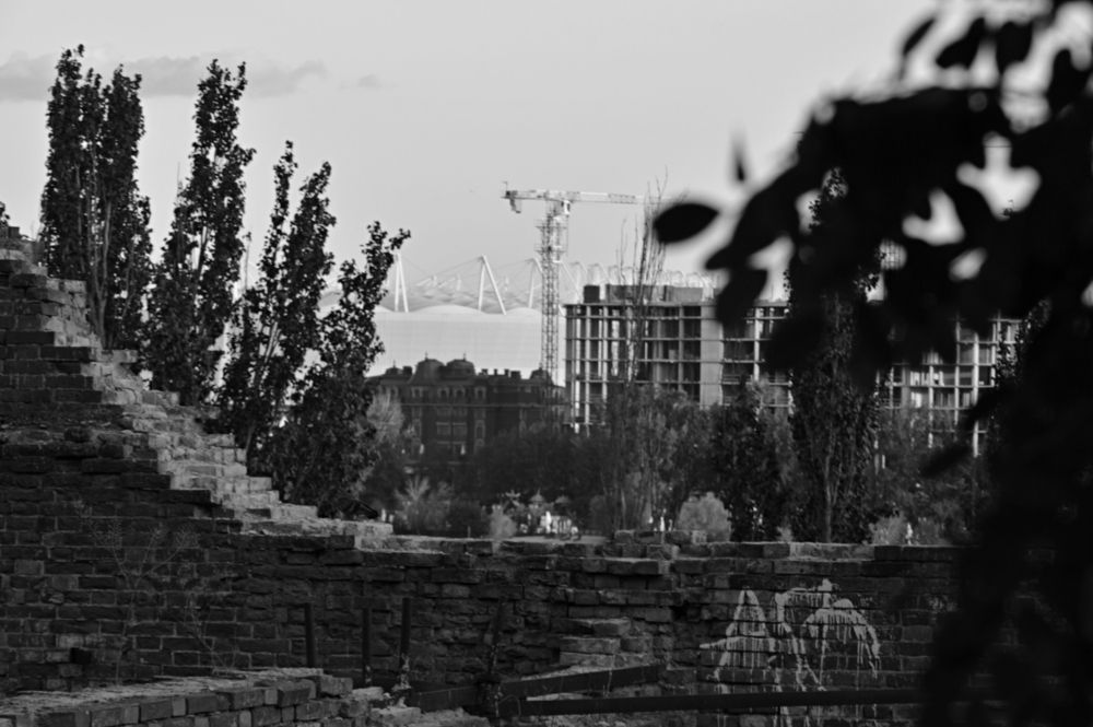 Photograph by Ольга Шевцова