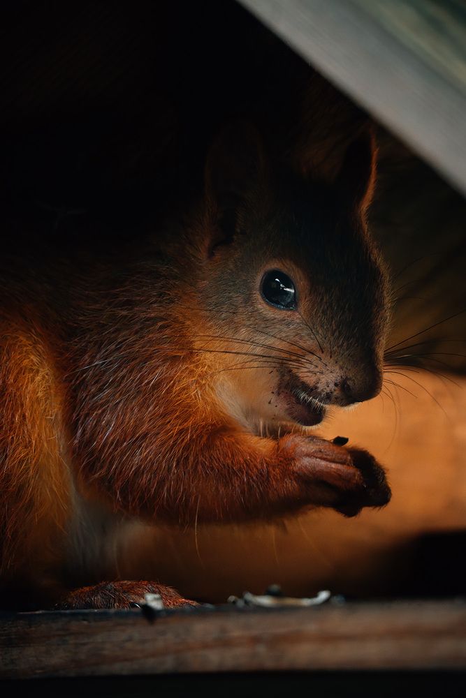 Photograph by Иван Клейн