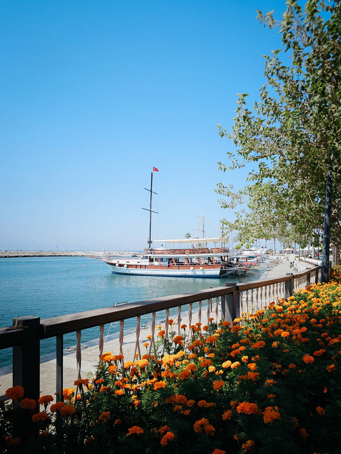 Фотография #12917626