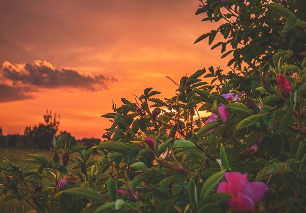 Photograph by Кирилл Сидоров