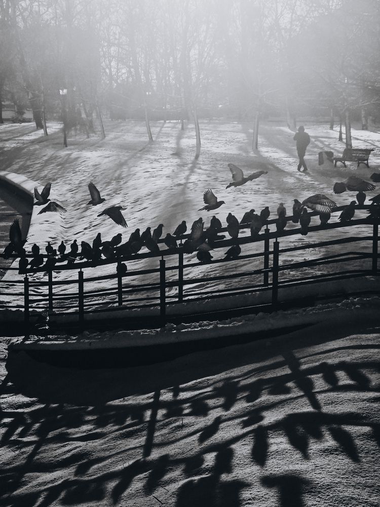 Фотография автора Кристина Альшанская