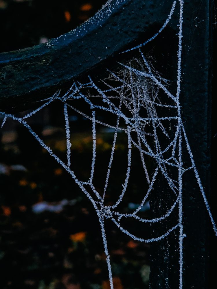 Photograph by Кристина Альшанская