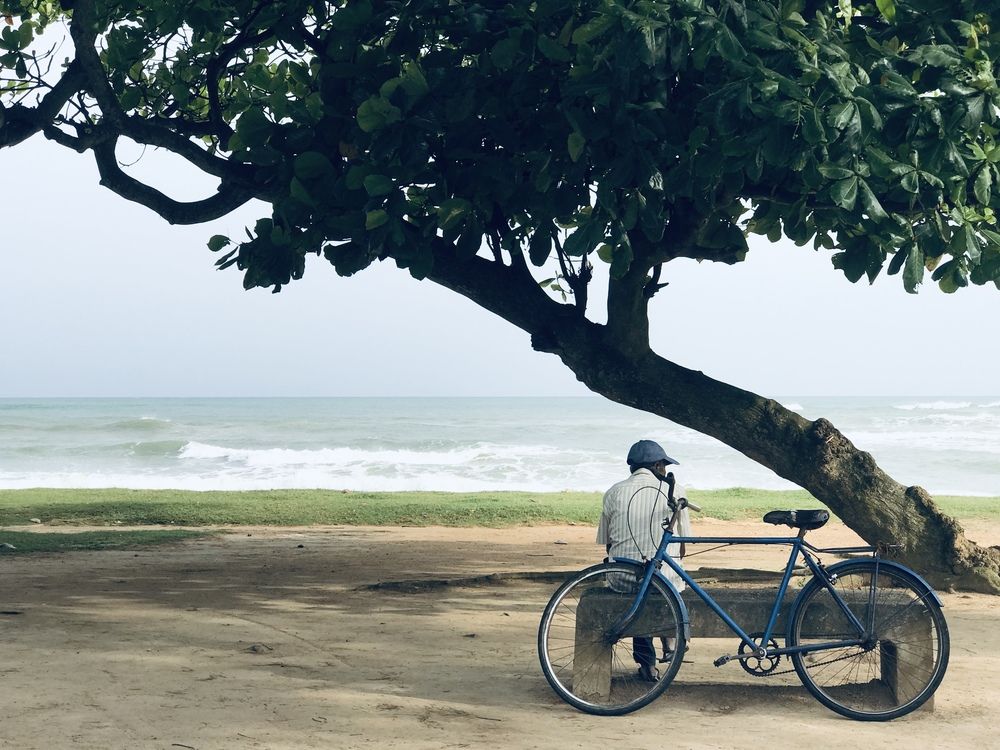 Photograph by Piyumi Kaveesha