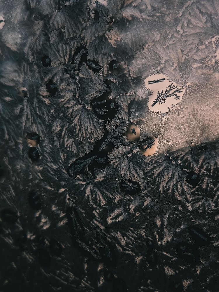 Photograph by Кристина Альшанская