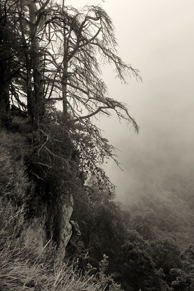 Photograph by Ольга Стоун