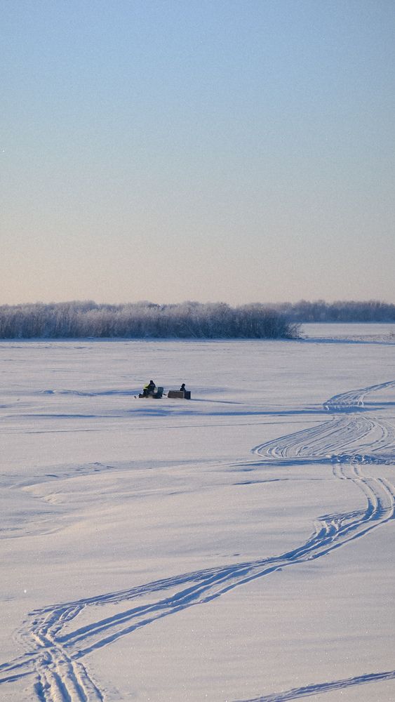 Фотография автора Dmitrii Shevchenko