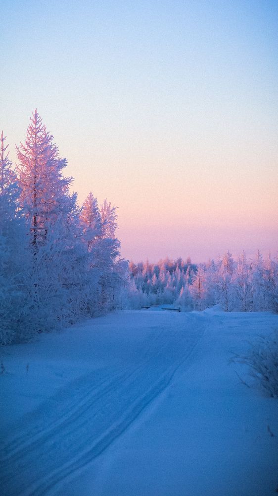 Photograph by Дмитрий Шевченко