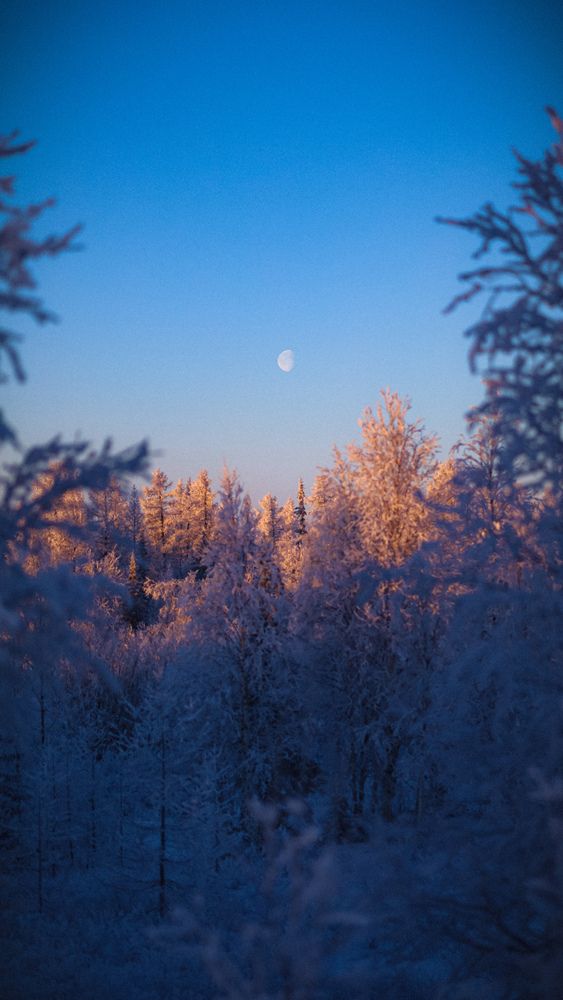 Photograph by Дмитрий Шевченко