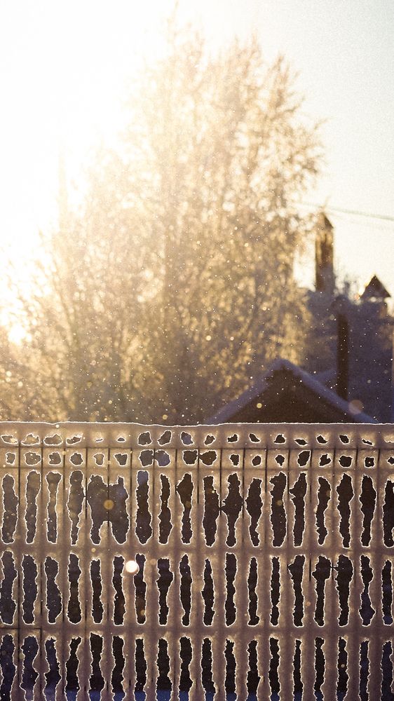 Фотография автора Dmitrii Shevchenko