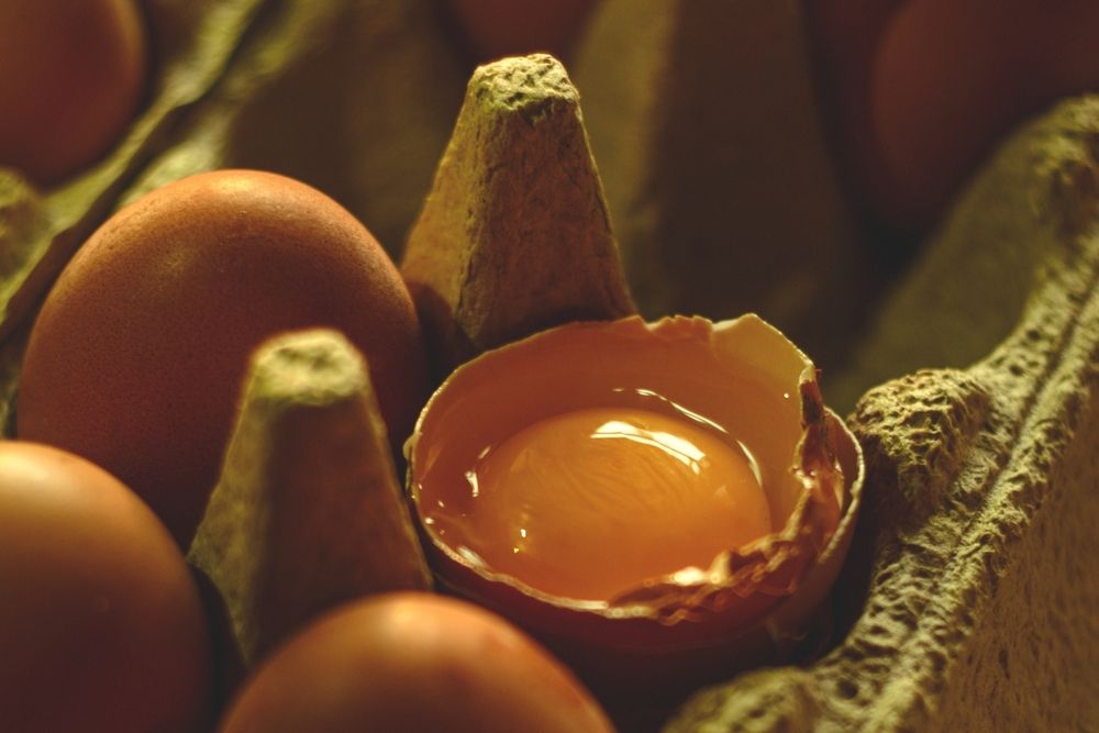 Photograph by Magic Helios