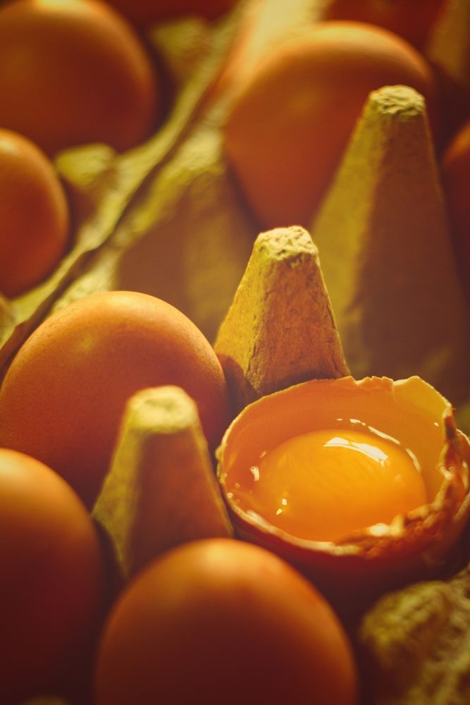 Photograph by Magic Helios