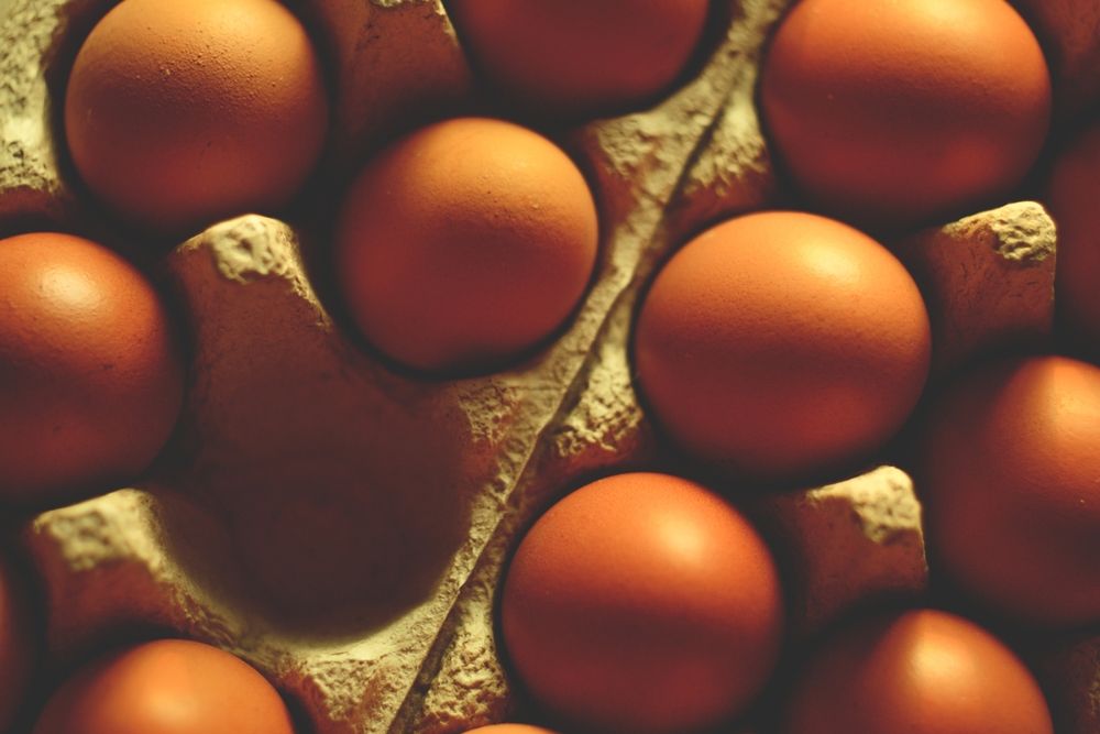 Photograph by Magic Helios