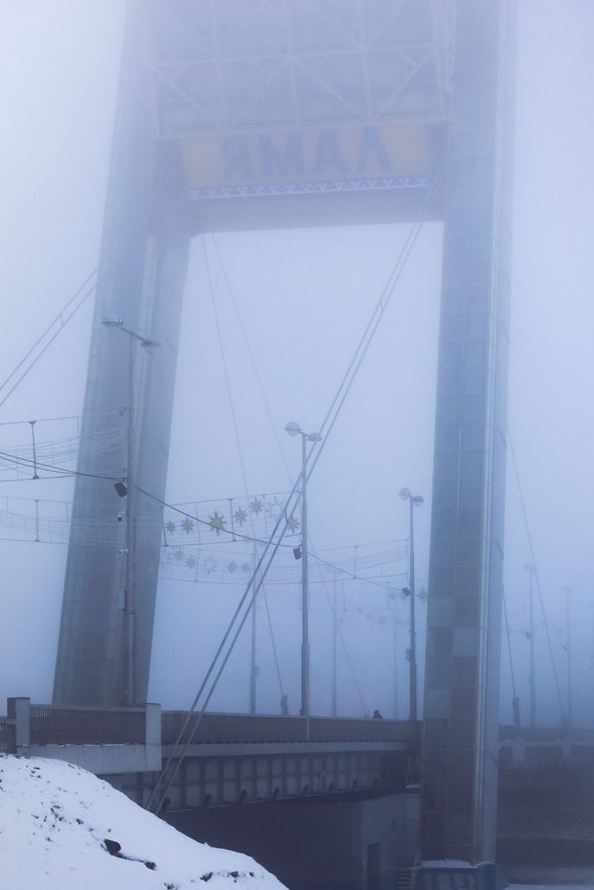 Фотография автора Dmitrii Shevchenko