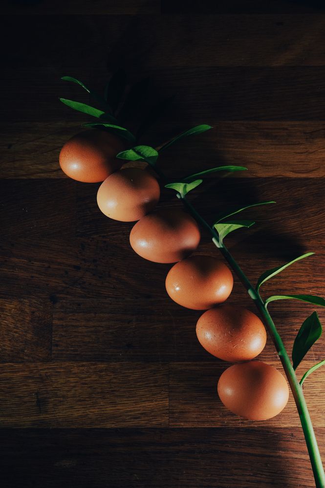 Photograph by Elena Papadopoulou